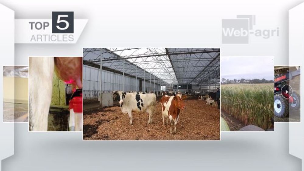 Articles les plus lus de la semaine sur Web-agri. (©Terre-net Média)