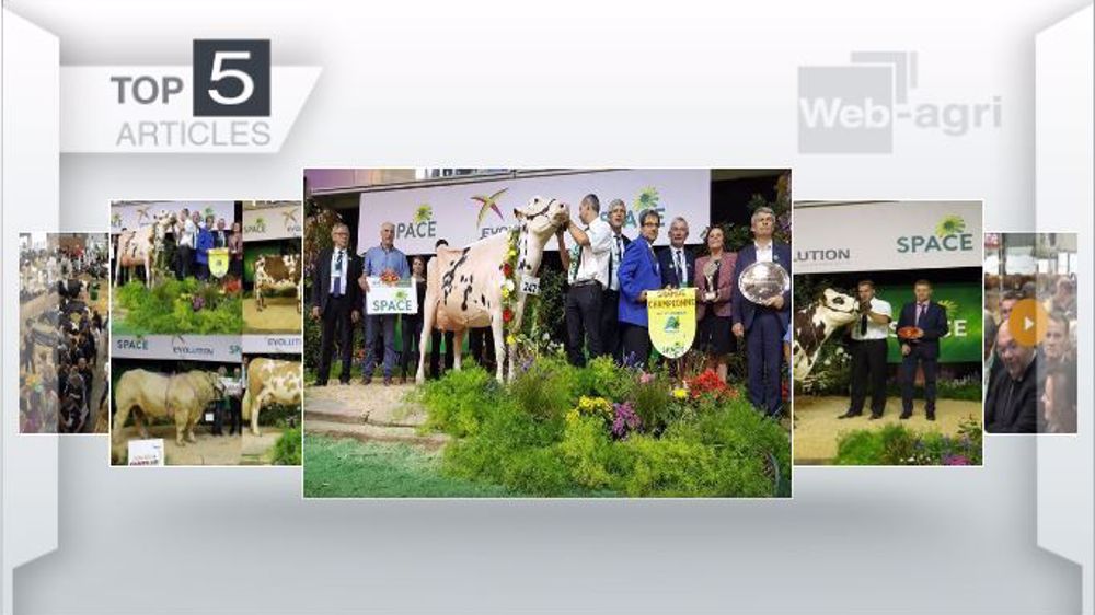 Les articles les plus lus de la semaine sur Web-agri. (©Terre-net Média)