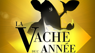 Le concours de la vache de l'année, organisé par Prim'holstein France, récompense la vache la plus rentable élue par les internautes et un jury d'experts. (©Prim'holstein France) Le concours de la vache de l'année, organisé par Prim'holstein France, récompense la vache la plus rentable élue par les internautes et un jury d'experts. (©Prim'holstein France)