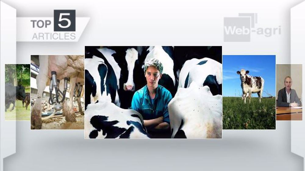 Les articles les plus lus de la semaine sur Web-agri. (©Terre-net Média)