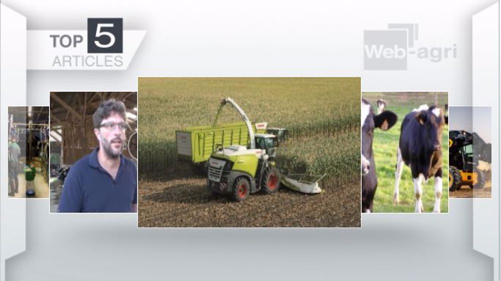 Articles les plus lus sur Web-agri cette semaine. (©Terre-net Média)