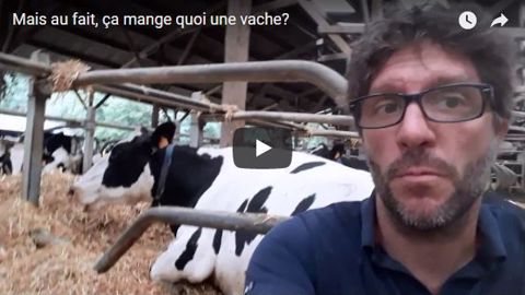 Agriskippy revient en vidéo sur l'alimentation de ses vaches