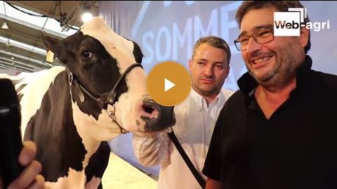 [Vidéo] Avec la jeune championne Jude BB, le juge a « pris son pied » !