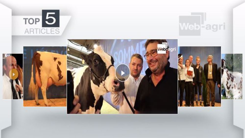 Articles les plus lus de la semaine sur Web-agri. (©Terre-net Média)