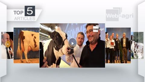 Articles les plus lus de la semaine sur Web-agri. (©Terre-net Média)