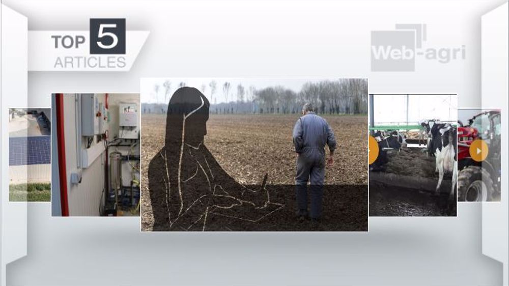Articles les plus lus de la semaine sur Web-agri. (©Terre-net Média)