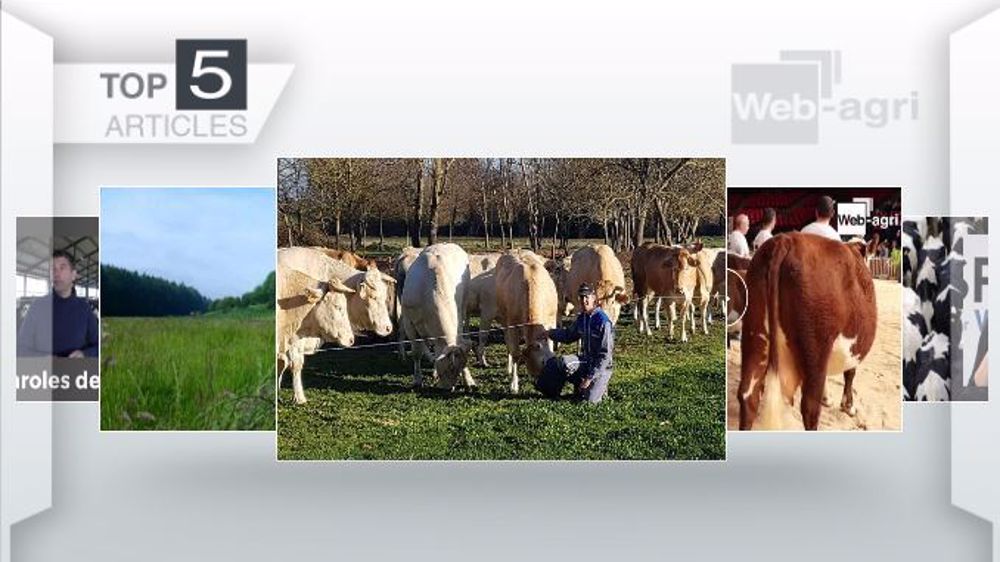 Les articles les plus lus de la semaine sur Web-agri. (©Terre-net Média)