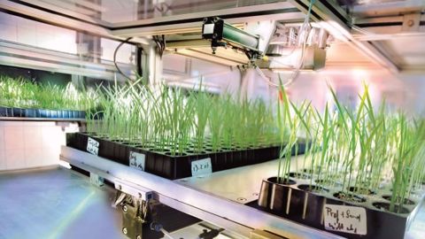 La Dargoire est le seul site de Bayer spécialisé dans la lutte contre les moisissures et champignons, à l'origine de 80 % des maladies des plantes. (©Bayer)