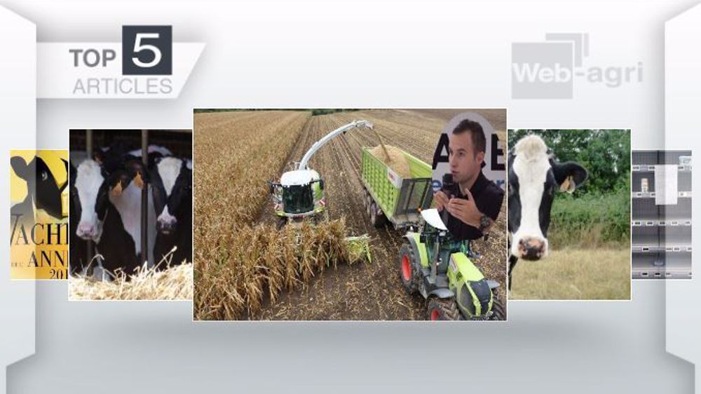 Les articles les plus lus de la semaine sur Web-agri. (©Terre-net Média)