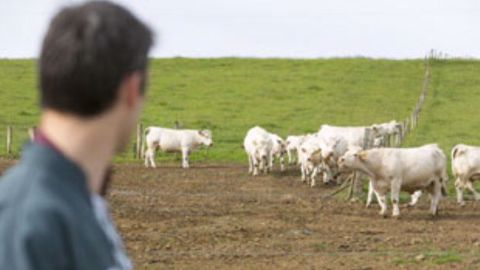 Les professionnels du monde agricole sont exposés à des risques. Une étude de la MSA permet de mettre en place un programme de prévention dédié. (©MSA)