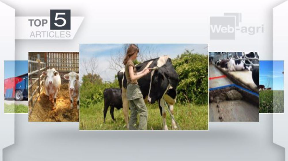 Articles les plus lus sur Web-agri cette semaine. (©Terre-net Média)