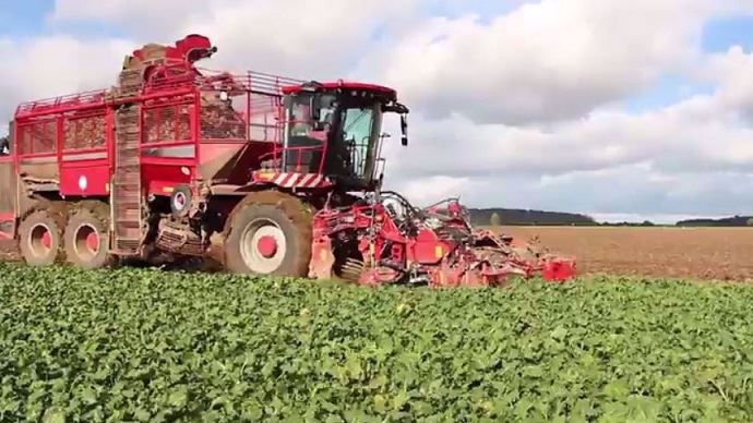 En moyenne, le rendement en betteraves s'annonce à 93 tonnes de betterave à l'hectare.