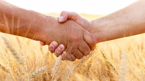 D'après un sondage réalisé sur Terre-net et Web-agri, les cessions de ferme se font d'abord en famille puis au plus offrant et seulement ensuite à un jeune extérieur. (©PointImages/Fotolia)