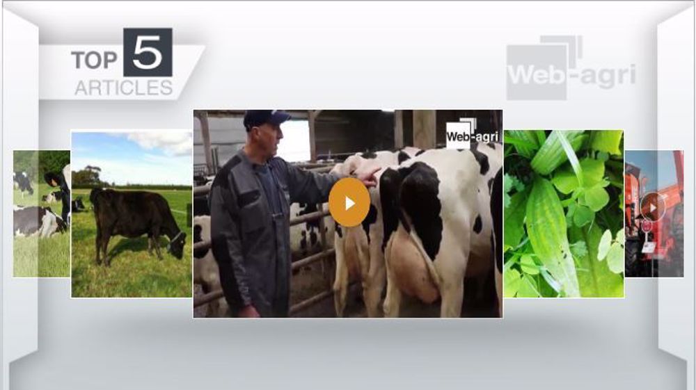 Articles les plus lus de la semaine sur Web-agri. (©Terre-net Média)