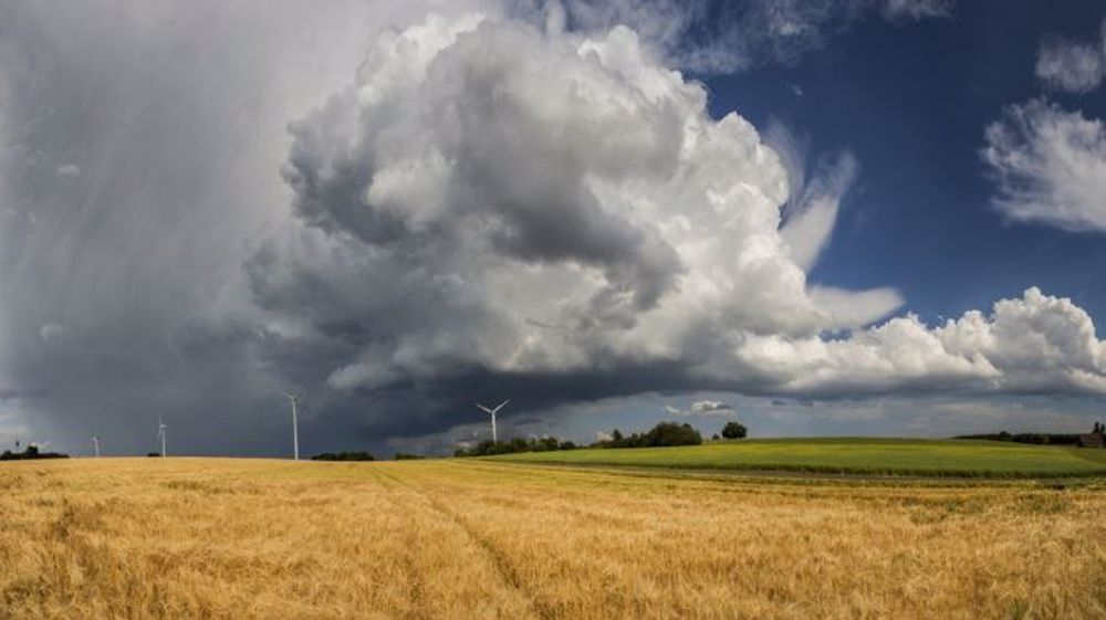 « La France et l’Europe doivent se mettre en marche avec détermination dès à présent pour que notre agriculture, notre viticulture, nos forêts s’adaptent de façon optimale au réchauffement climatique et contribuent efficacement à son atténuation », expliquent Jean Jouzel, Marion Guillou et Anne Guillaume. (©Jennewein Photo/ Fotolia)