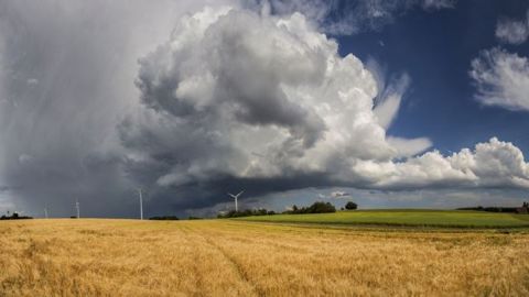 « La France et l’Europe doivent se mettre en marche avec détermination dès à présent pour que notre agriculture, notre viticulture, nos forêts s’adaptent de façon optimale au réchauffement climatique et contribuent efficacement à son atténuation », expliquent Jean Jouzel, Marion Guillou et Anne Guillaume. (©Jennewein Photo/ Fotolia)