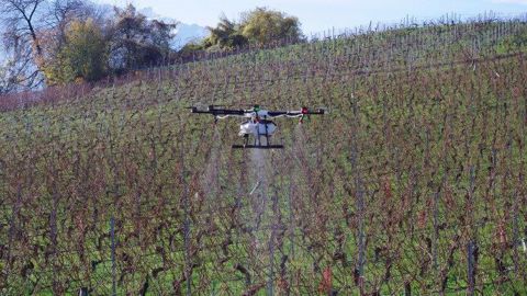 Encore interdits en France, les drones pourraient être une bonne alternative à la pulvérisation dans certains cas. (©Terre-net Média)