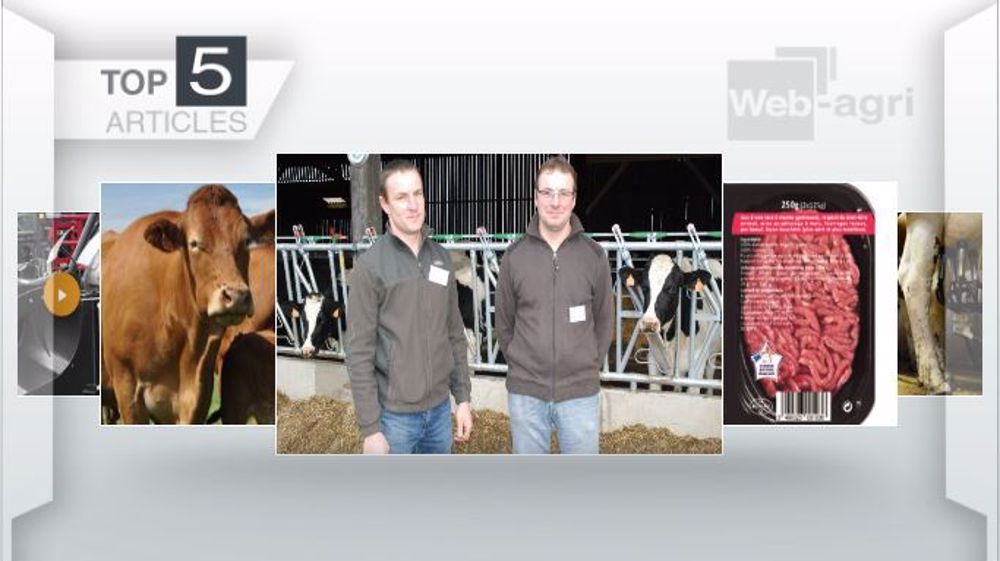 Articles les plus lus de la semaine sur Web-agri. (©Terre-net Média)