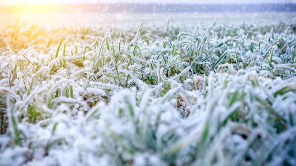 Des épisodes neigeux devraient se produire en janvier sur les côtes notamment le long de la Manche. (©Nordroden/Fotolia)