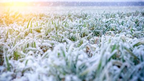 Des épisodes neigeux devraient se produire en janvier sur les côtes notamment le long de la Manche. (©Nordroden/Fotolia)
