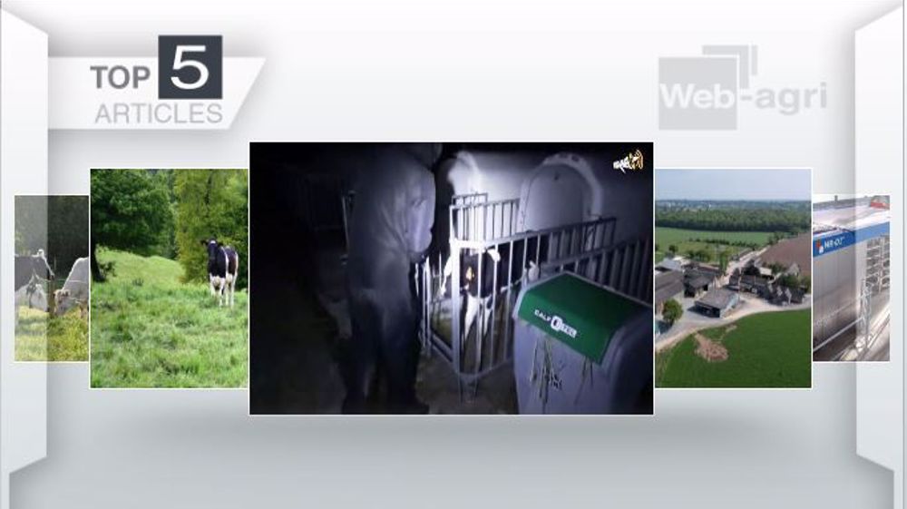 Articles les plus lus de la semaine sur Web-agri. (©Terre-net Média )