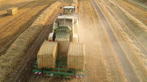 Le BaleCollect de Krone regroupe les balles trois par trois. (©Krone)