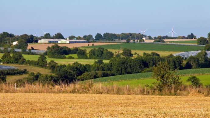 Paysage agricole