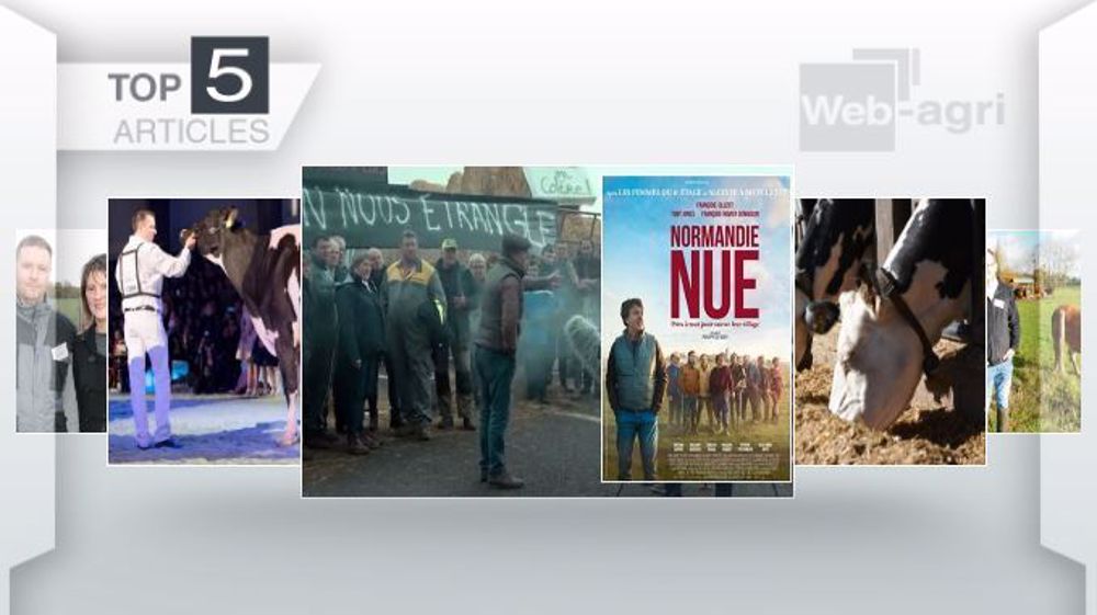 Articles les plus lus sur Web-agri cette semaine. (©Terre-net Média)