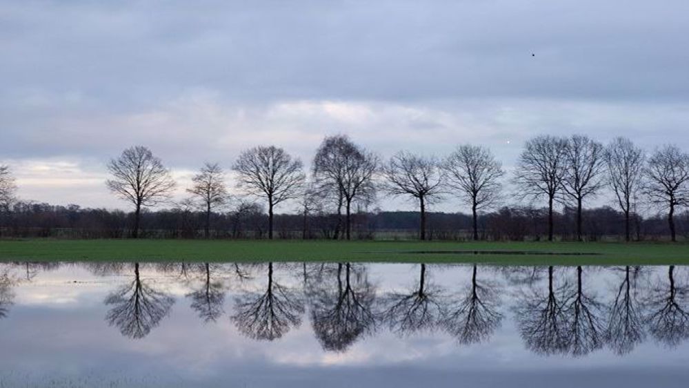 Parcelle inondée suite aux fortes intempéries. (©Martin P./Fotolia)