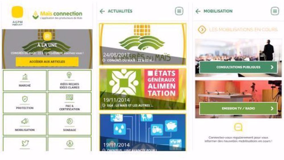 L'AGPM lance son appli mobile dédiée au maïs. (©AGPM)