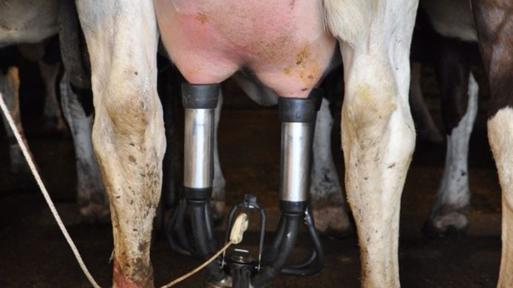 Plutôt que de vendre une partie de votre lait en prix B voire C, pourquoi ne pas en faire don aux associations caritatives ? Vous bénéficierez en plus d'une réduction d'impôts. (©Terre-net Média) Plutôt que de vendre une partie de votre lait en prix B voire C, pourquoi ne pas en faire don aux associations caritatives ? Vous bénéficierez en plus d'une réduction d'impôts. (©Terre-net Média)