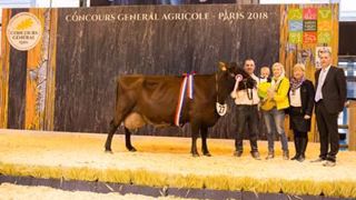 Delice, championne Rouge flamande. (©Sia 2018) Delice, championne Rouge flamande. (©Sia 2018)