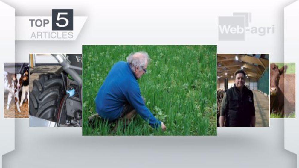 Articles les plus lus sur Web-agri cette semaine. (©Terre-net Média)