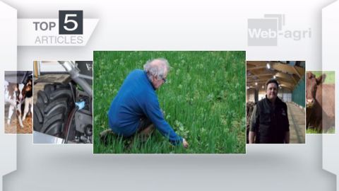 Articles les plus lus sur Web-agri cette semaine. (©Terre-net Média)