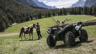 33,4 % des éleveurs ont déclaré posséder un quad utilitaire sur la ferme. (©Yamaha) 33,4 % des éleveurs ont déclaré posséder un quad utilitaire sur la ferme. (©Yamaha)