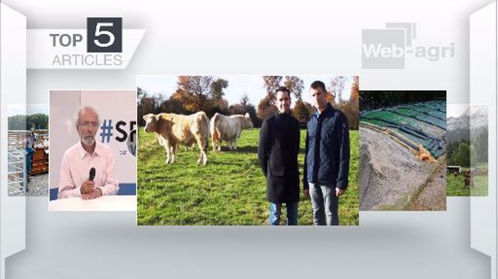 Articles les plus lus cette semaine sur Web-agri. (©Terre-net Média)