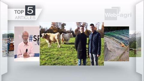 Articles les plus lus cette semaine sur Web-agri. (©Terre-net Média)