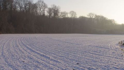 Les conditions climatiques en Europe inquiètent les opérateurs car la couverture neigeuse est souvent trop faible pour protéger des dégâts du gel. (©Terre-net Média)