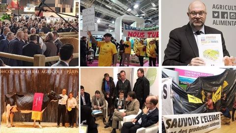 L'essentiel à retenir du Salon de l'agriculture 2018. (©Terre-net Média) L'essentiel à retenir du Salon de l'agriculture 2018. (©Terre-net Média)