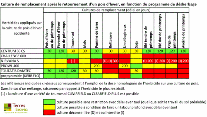 Cultures de remplacement après un pois d'hiver