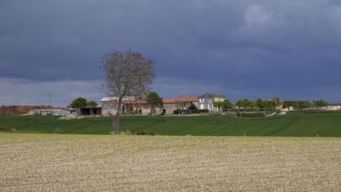 Quel sera le temps pour la levée de vos cultures de printemps ? (©Watier Visuel)