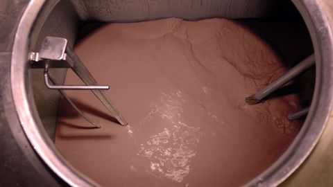 Les vaches OGM créées par des chercheurs suisses produisent un lait naturellement chocolaté grâce à une ration à base de poudre de cacao. (©Watier-visuel) Les vaches OGM créées par des chercheurs suisses produisent un lait naturellement chocolaté grâce à une ration à base de poudre de cacao. (©Watier-visuel)