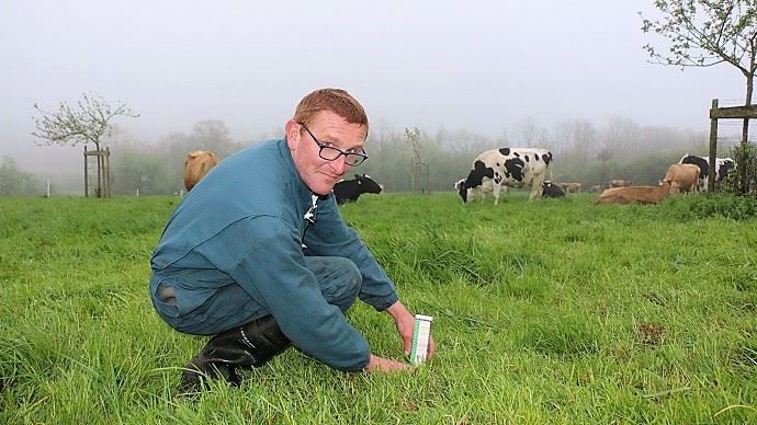 Pour gérer la rotation des paddocks, François mesure régulièrement la hauteur de l'herbe. Le but est d'offrir une herbe de qualité constante aux animaux tout en favorisant sa pousse.