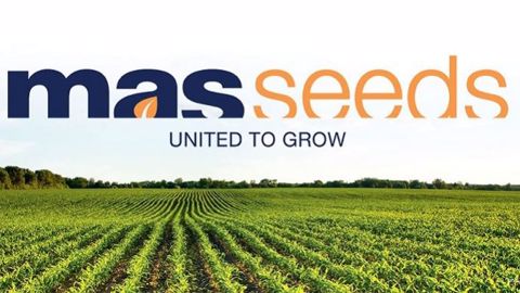 Logo de la marque Mas Seeds. (©Mas Seeds) Logo de la marque Mas Seeds. (©Mas Seeds)