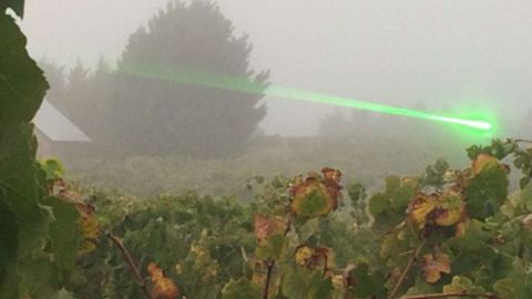 L’épouvantail laser de Agrilaser Autonomic. (©Bird Control Group)