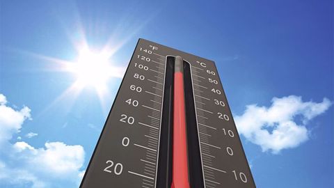 Quand les températures grimpent, gare au stress thermique pour les ruminants ! (©Fotolia) Quand les températures grimpent, gare au stress thermique pour les ruminants ! (©Fotolia)