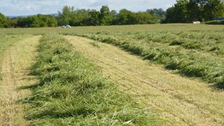 Selon les besoins de l'éleveur, son équipement matériel et les conditions météorologiques de sa région, son herbe pourra être stockée en enrubannage, ensilage ou foin. (©Terre-net Média) Selon les besoins de l'éleveur, son équipement matériel et les conditions météorologiques de sa région, son herbe pourra être stockée en enrubannage, ensilage ou foin. (©Terre-net Média)