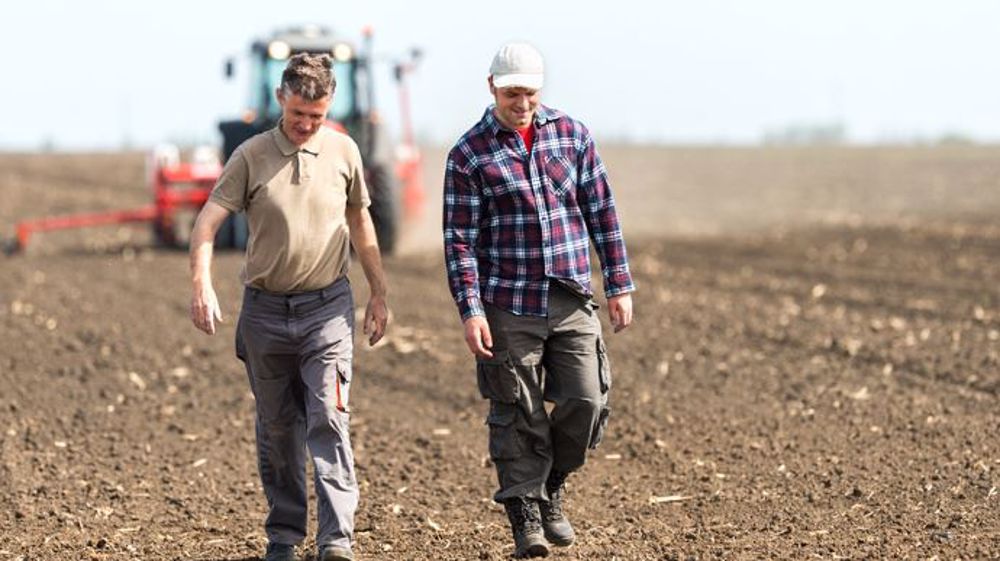 La main d'oeuvre agricole recule de 8 % depuis 2006 selon les chiffres de la MSA. (©Dusan Kostic/Fotolia)