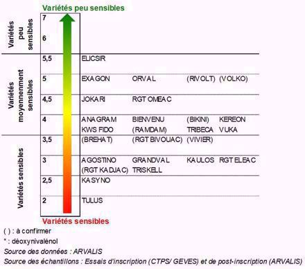 Classement des variétés de triticale selon leur résistance au risque DON (F. graminearum) - échelle 2018/2019