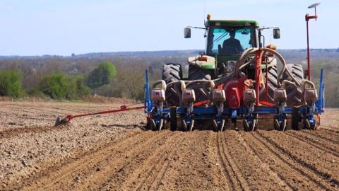 Les conditions climatiques actuelles sont favorables à la progression des semis de maïs. (©Terre-net Média)